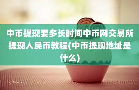 中币提现要多长时间中币网交易所提现人民币教程(中币提现地址是什么)