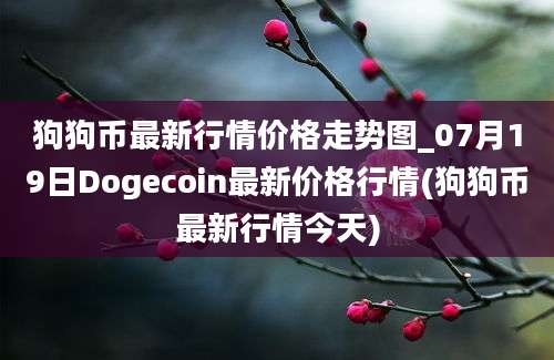 狗狗币最新行情价格走势图_07月19日Dogecoin最新价格行情(狗狗币最新行情今天)