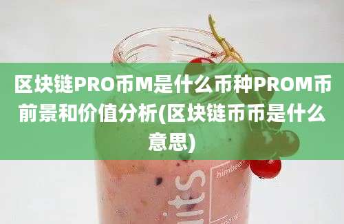 区块链PRO币M是什么币种PROM币前景和价值分析(区块链币币是什么意思)