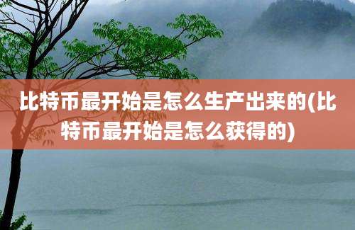 比特币最开始是怎么生产出来的(比特币最开始是怎么获得的)