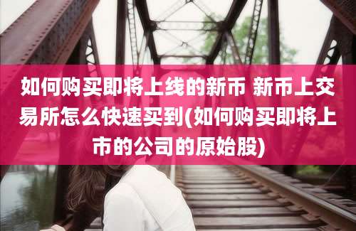 如何购买即将上线的新币 新币上交易所怎么快速买到(如何购买即将上市的公司的原始股)