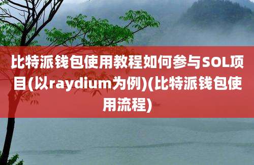 比特派钱包使用教程如何参与SOL项目(以raydium为例)(比特派钱包使用流程)