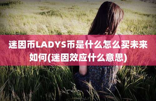 迷因币LADYS币是什么怎么买未来如何(迷因效应什么意思)