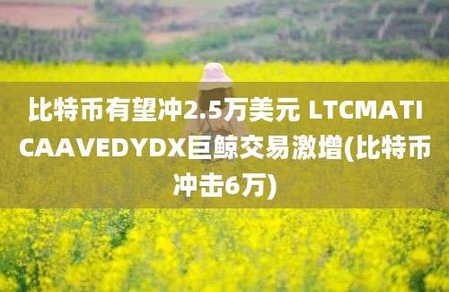 比特币有望冲2.5万美元 LTCMATICAAVEDYDX巨鲸交易激增(比特币冲击6万)