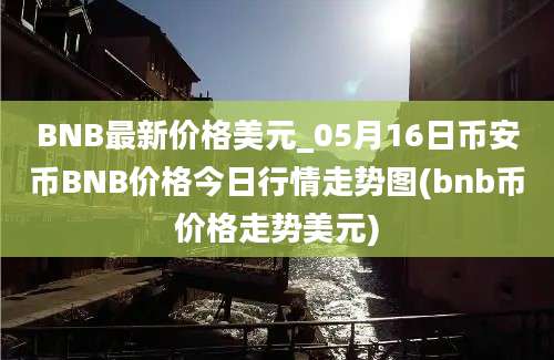 BNB最新价格美元_05月16日币安币BNB价格今日行情走势图(bnb币价格走势美元)