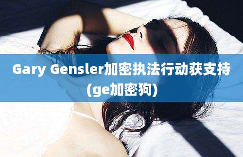 Gary Gensler加密执法行动获支持(ge加密狗)