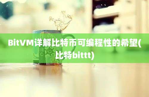 BitVM详解比特币可编程性的希望(比特bittt)