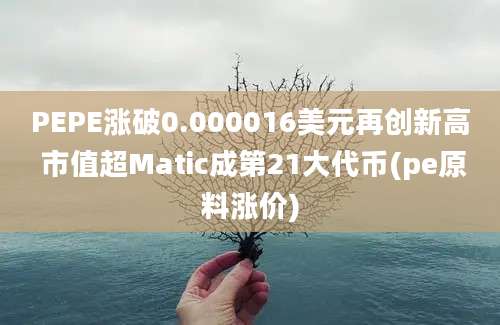 PEPE涨破0.000016美元再创新高 市值超Matic成第21大代币(pe原料涨价)