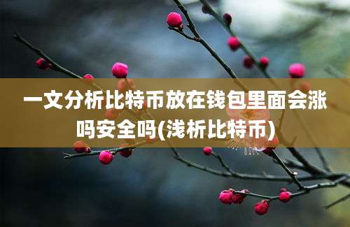 一文分析比特币放在钱包里面会涨吗安全吗(浅析比特币)