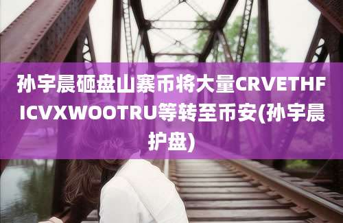 孙宇晨砸盘山寨币将大量CRVETHFICVXWOOTRU等转至币安(孙宇晨护盘)