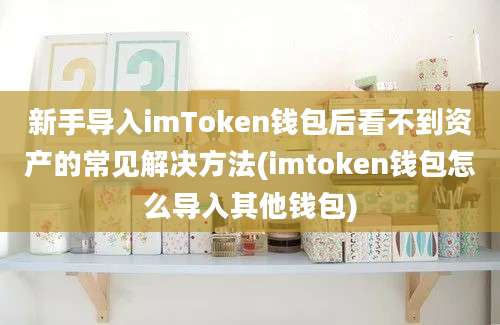 新手导入imToken钱包后看不到资产的常见解决方法(imtoken钱包怎么导入其他钱包)