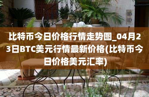 比特币今日价格行情走势图_04月23日BTC美元行情最新价格(比特币今日价格美元汇率)