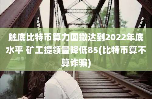 触底比特币算力回撤达到2022年底水平 矿工提领量降低85(比特币算不算诈骗)