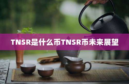 TNSR是什么币TNSR币未来展望