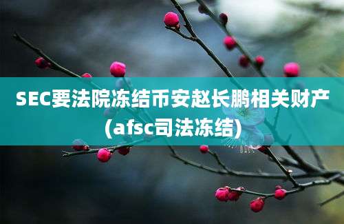 SEC要法院冻结币安赵长鹏相关财产(afsc司法冻结)