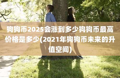 狗狗币2025会涨到多少狗狗币最高价格是多少(2021年狗狗币未来的升值空间)