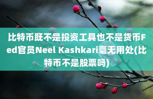 比特币既不是投资工具也不是货币Fed官员Neel Kashkari毫无用处(比特币不是股票吗)