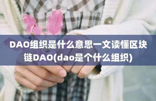 DAO组织是什么意思一文读懂区块链DAO(dao是个什么组织)