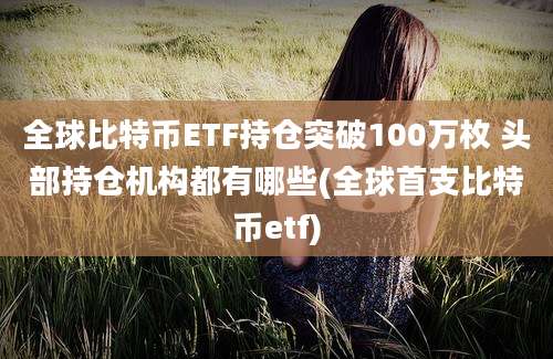 全球比特币ETF持仓突破100万枚 头部持仓机构都有哪些(全球首支比特币etf)