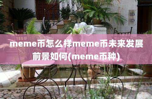 meme币怎么样meme币未来发展前景如何(meme币种)