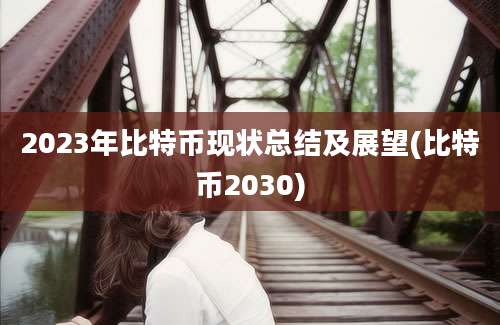 2023年比特币现状总结及展望(比特币2030)