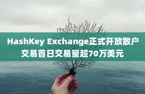 HashKey Exchange正式开放散户交易首日交易量超70万美元