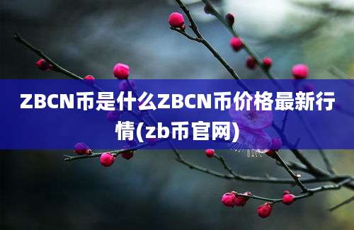 ZBCN币是什么ZBCN币价格最新行情(zb币官网)