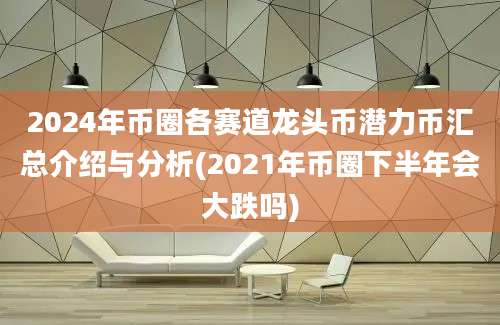 2024年币圈各赛道龙头币潜力币汇总介绍与分析(2021年币圈下半年会大跌吗)