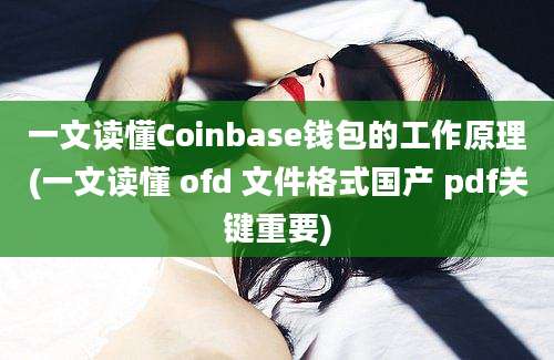 一文读懂Coinbase钱包的工作原理(一文读懂 ofd 文件格式国产 pdf关键重要)