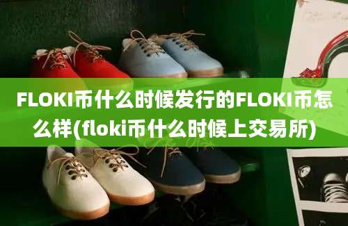 FLOKI币什么时候发行的FLOKI币怎么样(floki币什么时候上交易所)