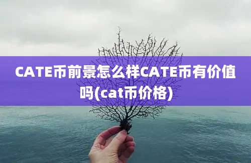 CATE币前景怎么样CATE币有价值吗(cat币价格)