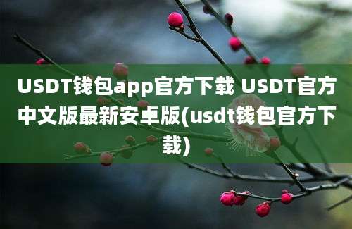 USDT钱包app官方下载 USDT官方中文版最新安卓版(usdt钱包官方下载)