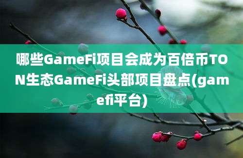 哪些GameFi项目会成为百倍币TON生态GameFi头部项目盘点(gamefi平台)