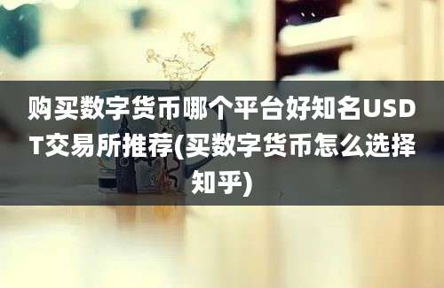 购买数字货币哪个平台好知名USDT交易所推荐(买数字货币怎么选择知乎)