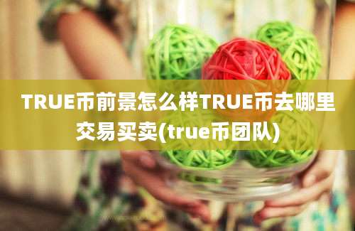 TRUE币前景怎么样TRUE币去哪里交易买卖(true币团队)