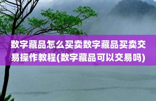 数字藏品怎么买卖数字藏品买卖交易操作教程(数字藏品可以交易吗)