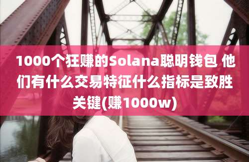 1000个狂赚的Solana聪明钱包 他们有什么交易特征什么指标是致胜关键(赚1000w)