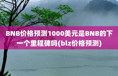 BNB价格预测1000美元是BNB的下一个里程碑吗(blz价格预测)