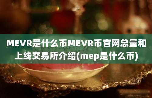 MEVR是什么币MEVR币官网总量和上线交易所介绍(mep是什么币)