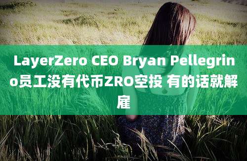 LayerZero CEO Bryan Pellegrino员工没有代币ZRO空投 有的话就解雇