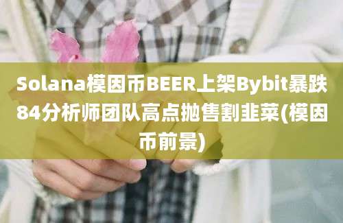 Solana模因币BEER上架Bybit暴跌84分析师团队高点抛售割韭菜(模因币前景)