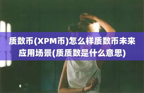 质数币(XPM币)怎么样质数币未来应用场景(质质数是什么意思)