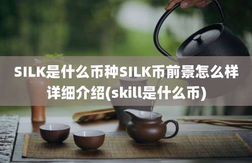 SILK是什么币种SILK币前景怎么样详细介绍(skill是什么币)