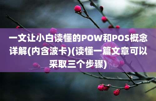 一文让小白读懂的POW和POS概念详解(内含波卡)(读懂一篇文章可以采取三个步骤)