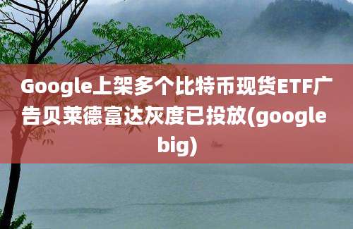 Google上架多个比特币现货ETF广告贝莱德富达灰度已投放(google big)