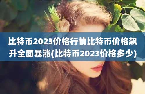 比特币2023价格行情比特币价格飙升全面暴涨(比特币2023价格多少)