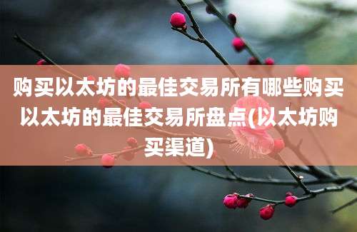 购买以太坊的最佳交易所有哪些购买以太坊的最佳交易所盘点(以太坊购买渠道)