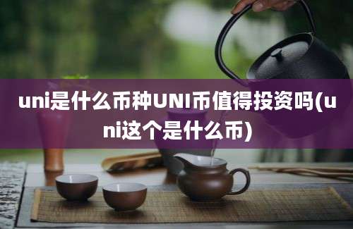 uni是什么币种UNI币值得投资吗(uni这个是什么币)