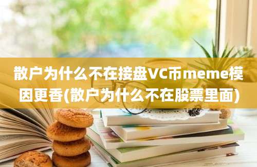 散户为什么不在接盘VC币meme模因更香(散户为什么不在股票里面)