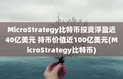 MicroStrategy比特币投资浮盈近40亿美元 持币价值近100亿美元(MicroStrategy比特币)